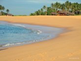 Sri Lanca ' S Own Travel Of Tourist Feedback 2015